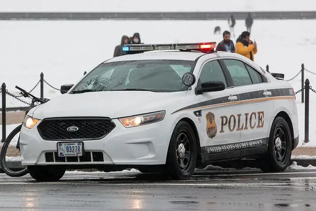    Фото: lenta.ru Ева Журавлева