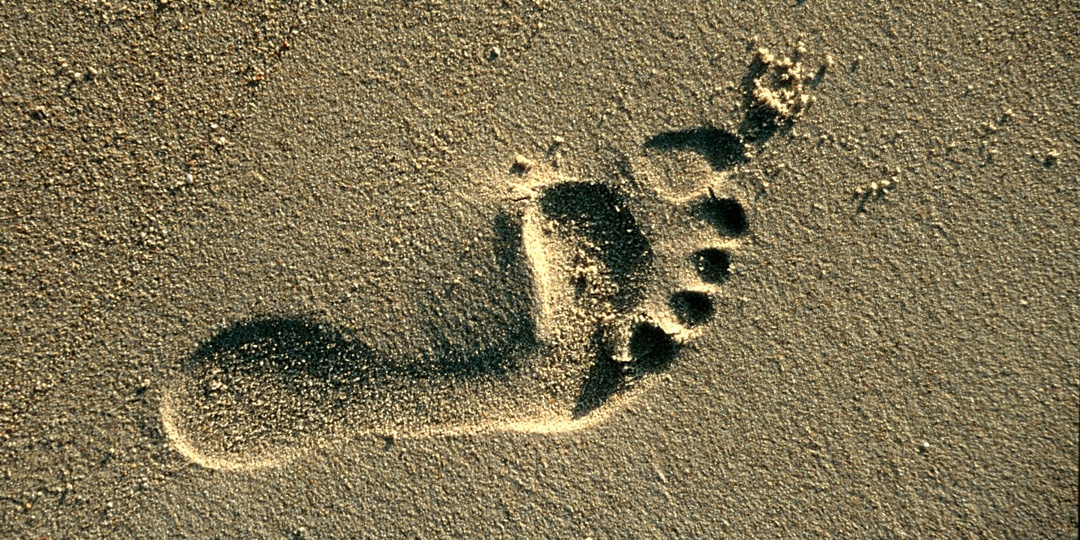 Как провести новогодние праздники с пользой и удовольствием: 7 советов