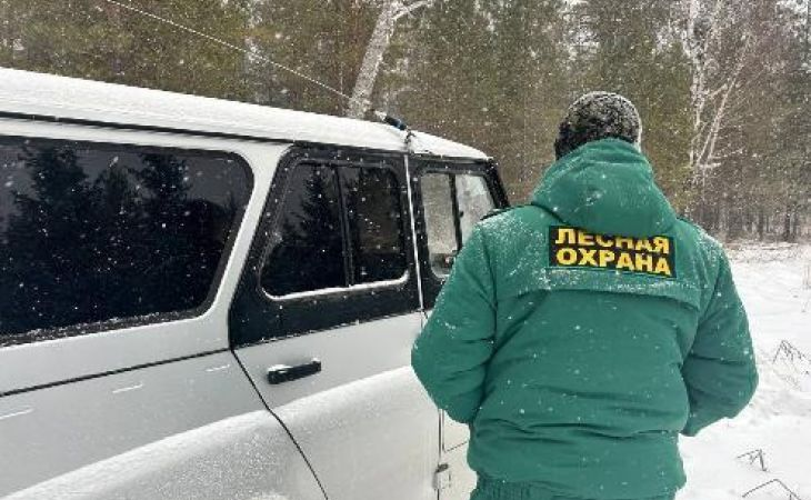 Лесная охрана . Фото: minprirody.alregn.ru