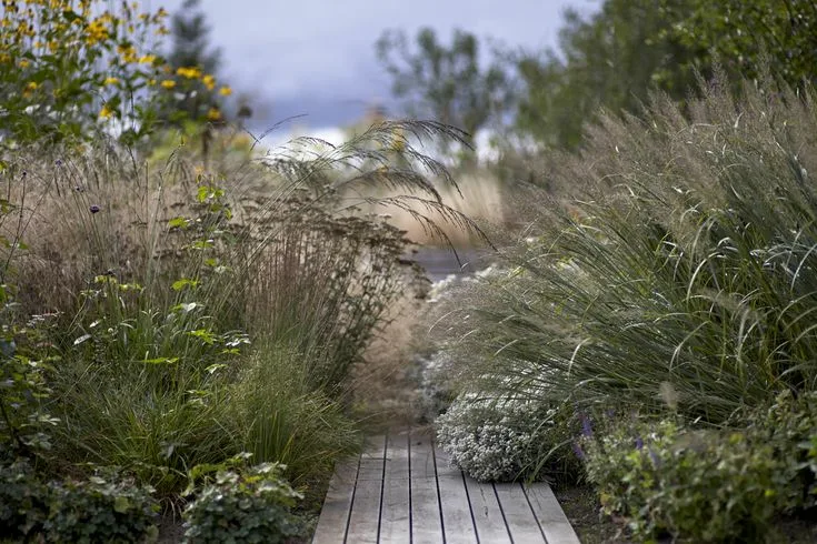 Новый натурализм в действии: наш сад в Подмосковье. Уход — 4 визита за сезон! 🌾 GreenSH