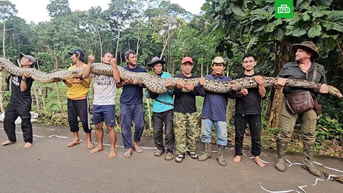    Фото: guinnessworldrecords.com