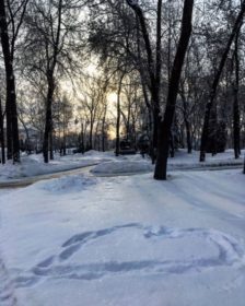 Фото: Юлия Моисеева SmolDaily  📷
