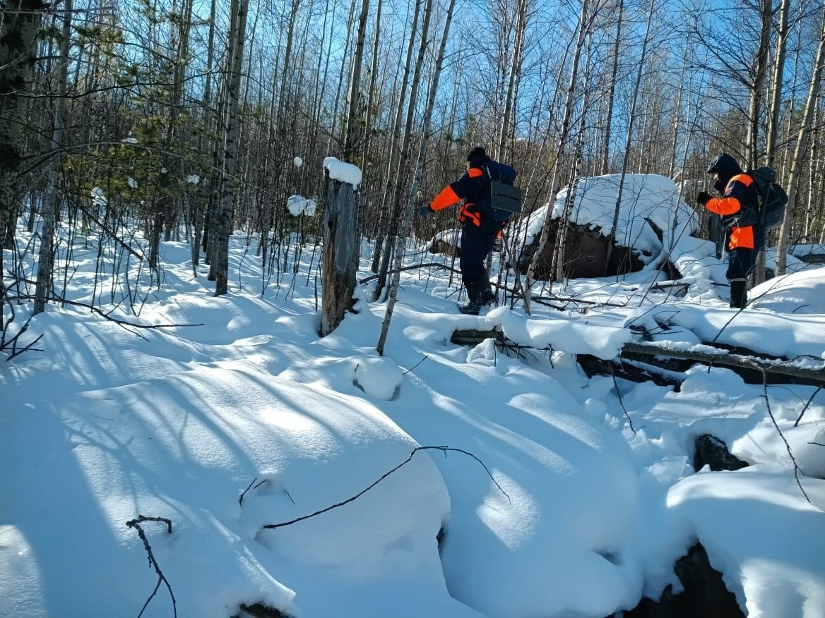 Поисковики.  фото: яндекс.