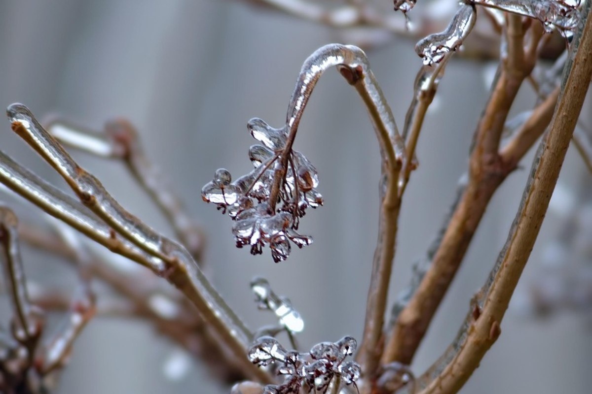    Фото: Camera-man / Pixabay.com