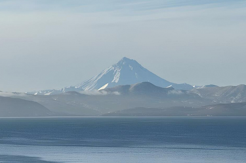 Правительство Камчатского края