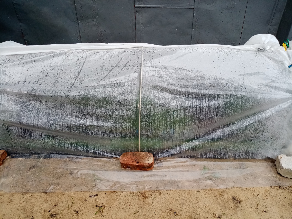 Половина череночника на 12 кассет по 144 ячейки. 