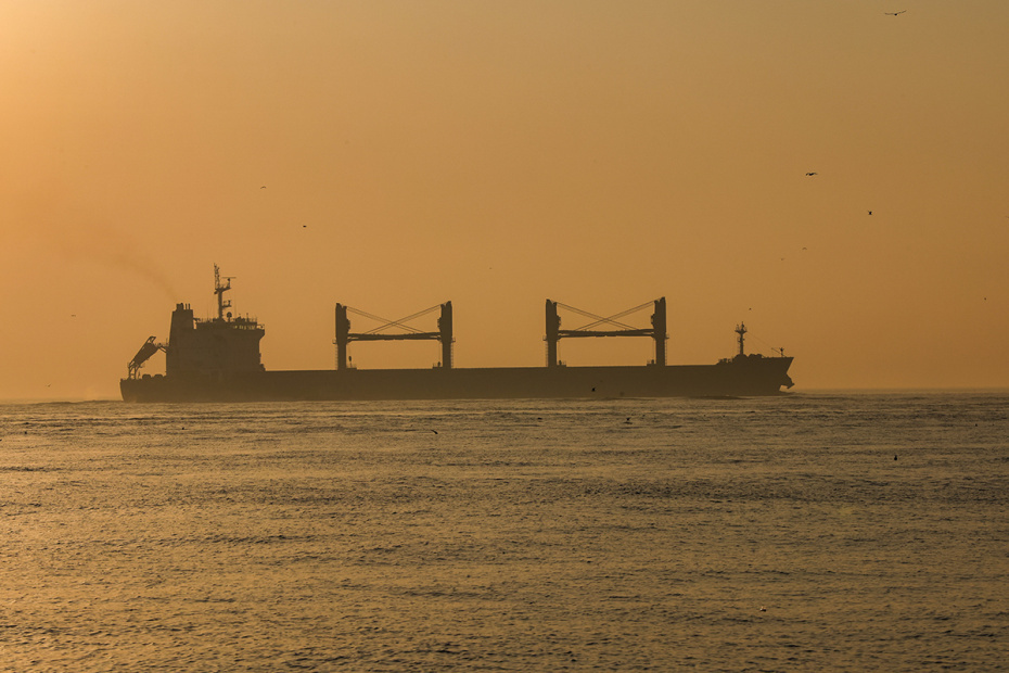    Алексей Белкин/NEWS.ru