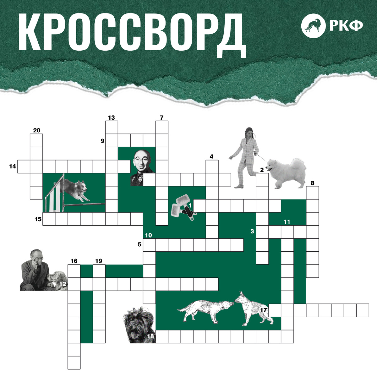 кроссворд ко Дню эрудита от РКФ