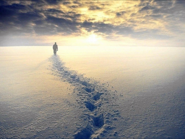 фото из Интернета