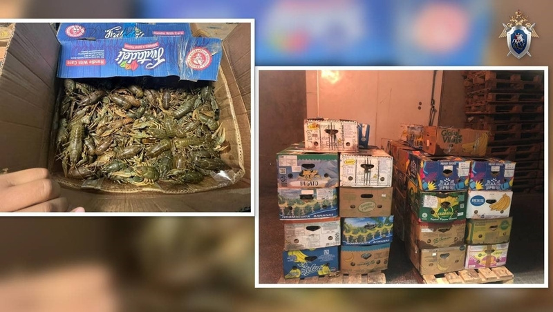      Фото: СУ СКР по Астраханской области