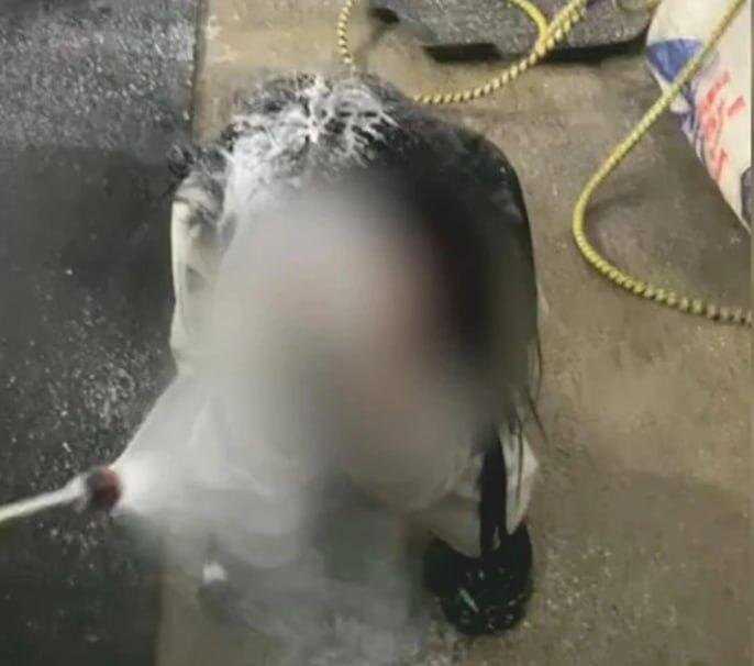 Фото: из открытых источников 