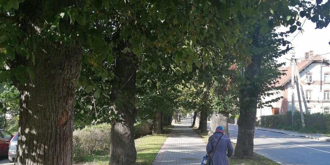 Пенсионный возраст в России предложили снизить до значений реформы 2019 года