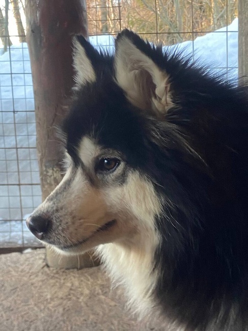 Фотография автора