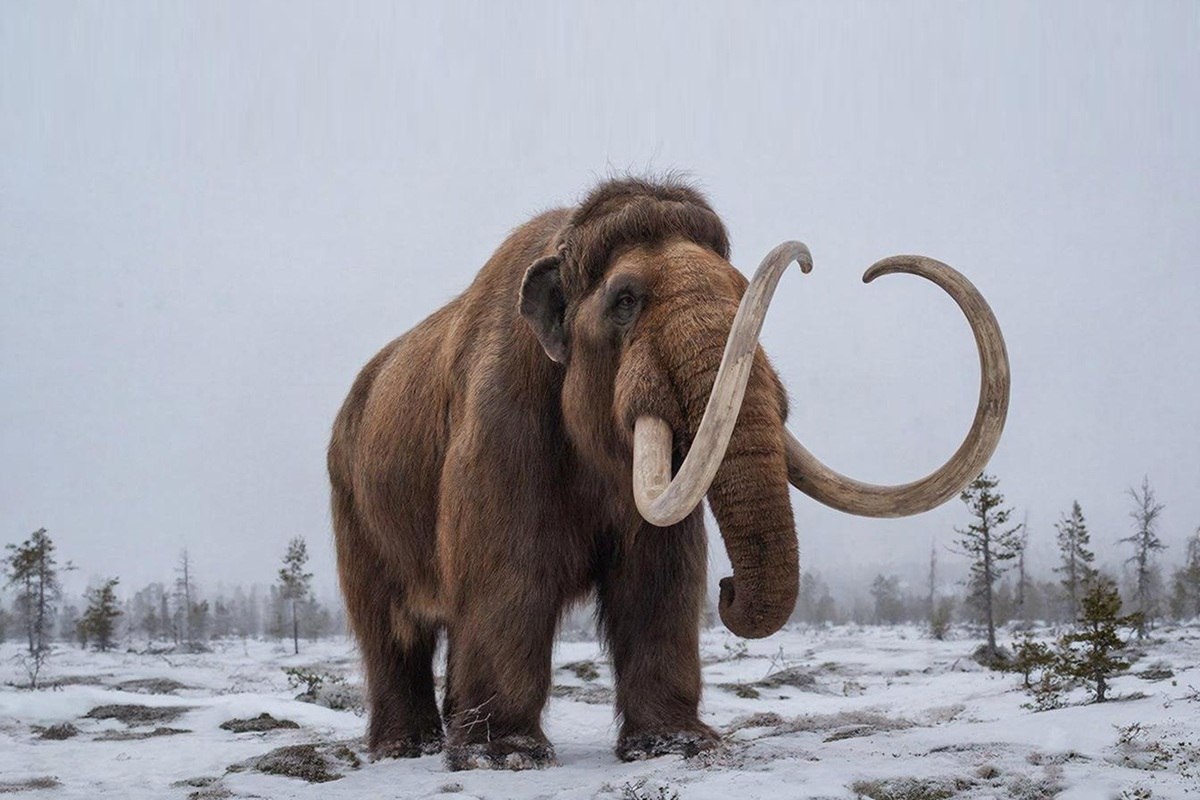    Фото: коллаж RuNews24.ru