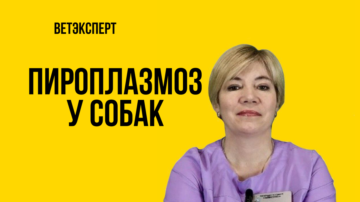 Любовь Шмидт, ветеринарный врач. Стаж более 23 лет