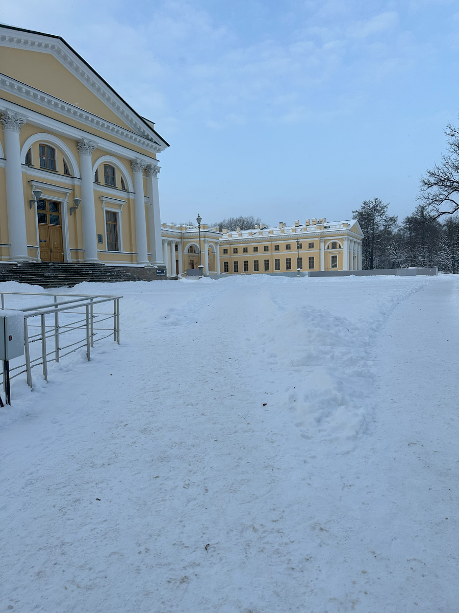  Александровский дворец замой /личный архив автора/