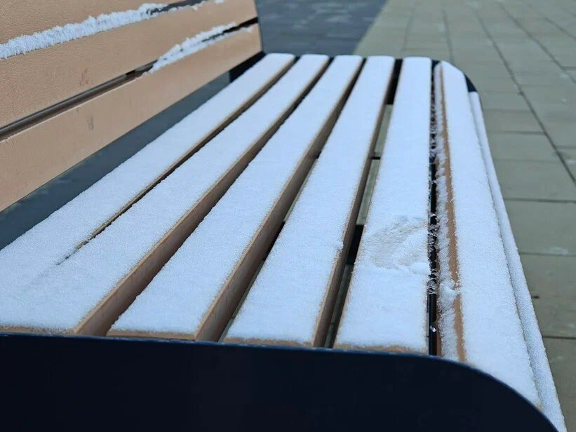    Фото: Юрий Серебренников/BFM Кубань