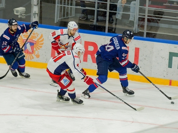     Фото: соцсети ХК ЦСК ВВС