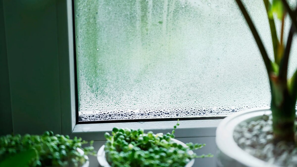 Зимняя влага на окнах — это не каприз погоды и не признак плохого качества окон. Это естественное следствие разницы температур и влажности, которое можно эффективно уменьшить, следуя нескольким основным правилам.
