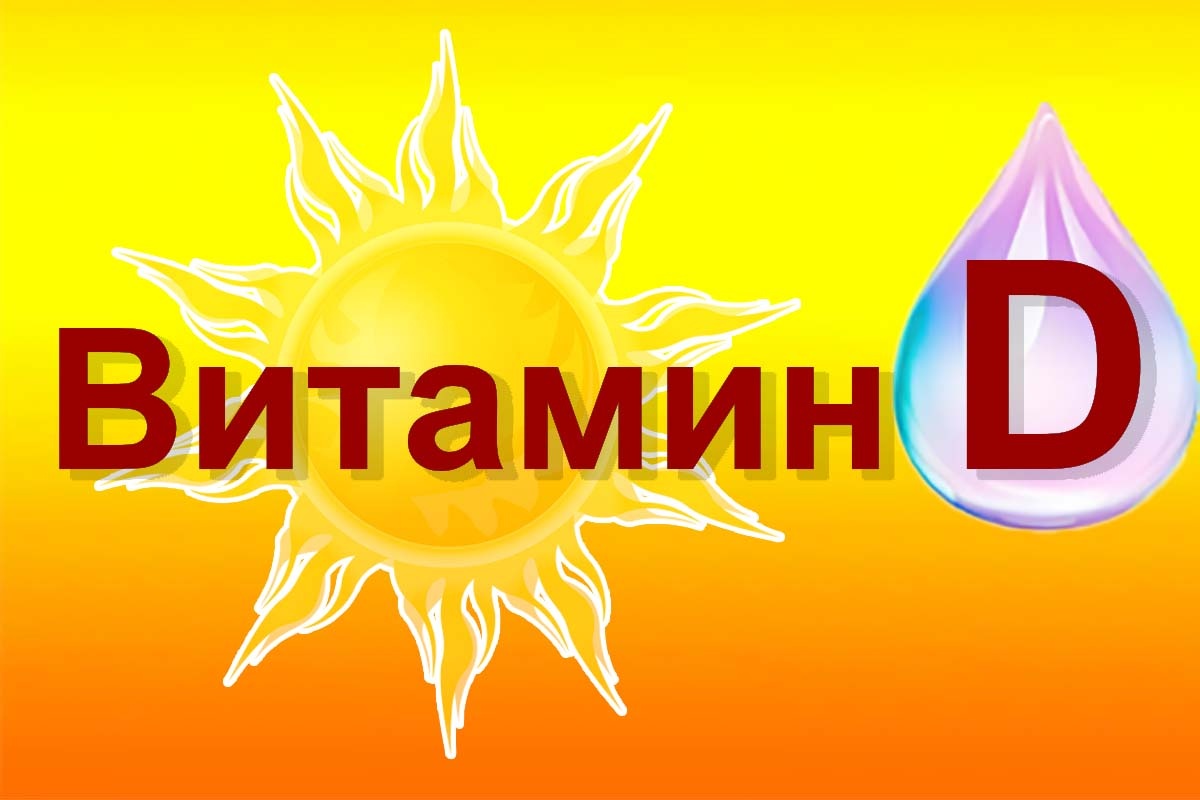 Фото: "Донская газета"