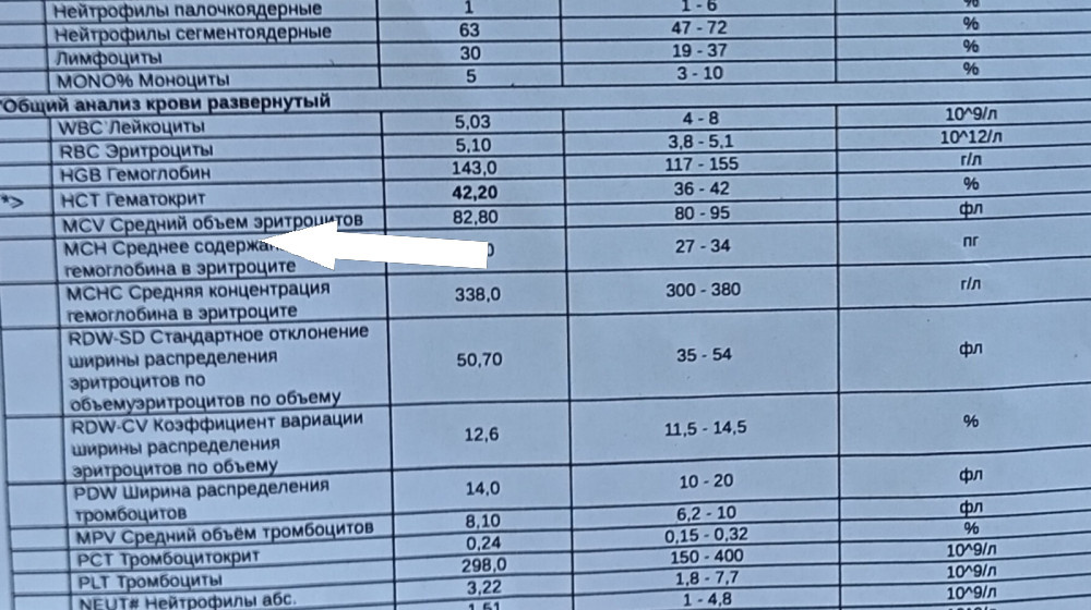    Что скрывают цифры в вашем анализе крови и как их читать как врач