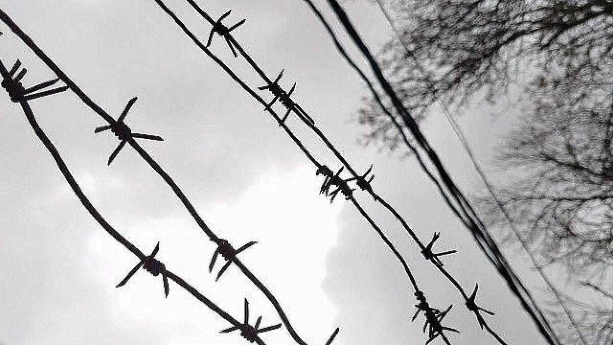    Фото: телеканал «Краснодар»