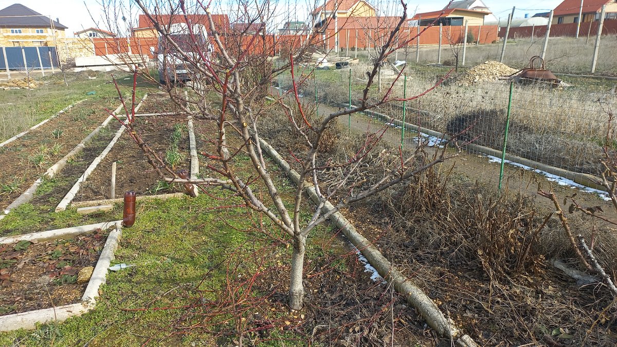 Стрижка под мартышку.