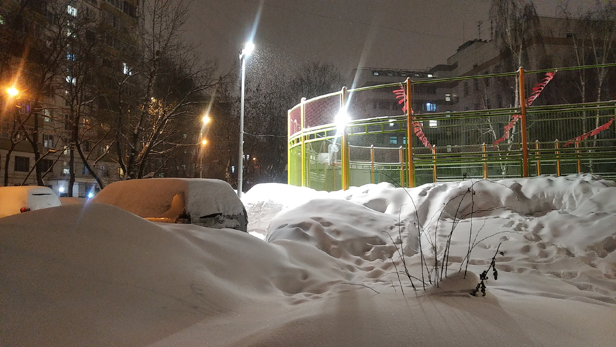 Весь спорт замело 