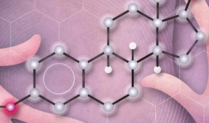 Глубинные причины болезней кожи Ч.1: как нервы, гормоны и иммунитет управляют ее здоровьем (атопический дерматит и псориаз)