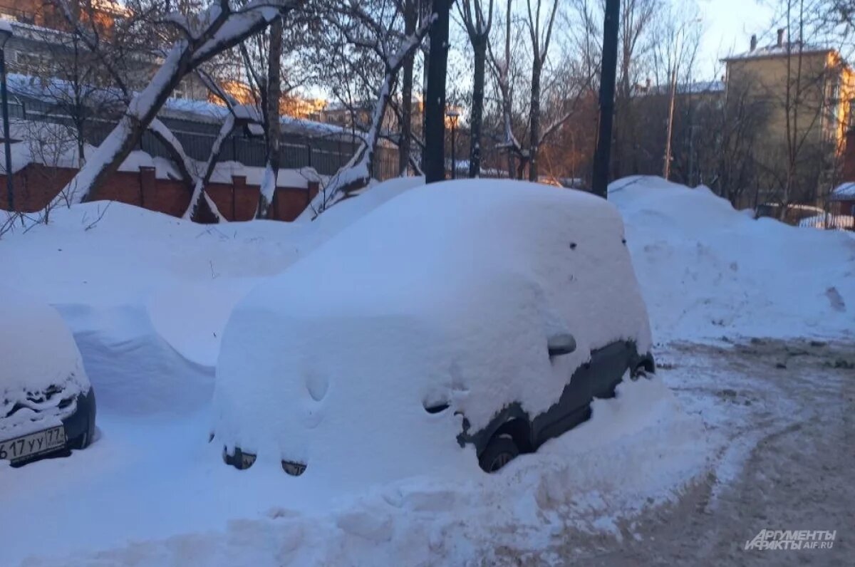    Если машина долго не ездит, то необходимо задуматься, а нужна ли она человеку?