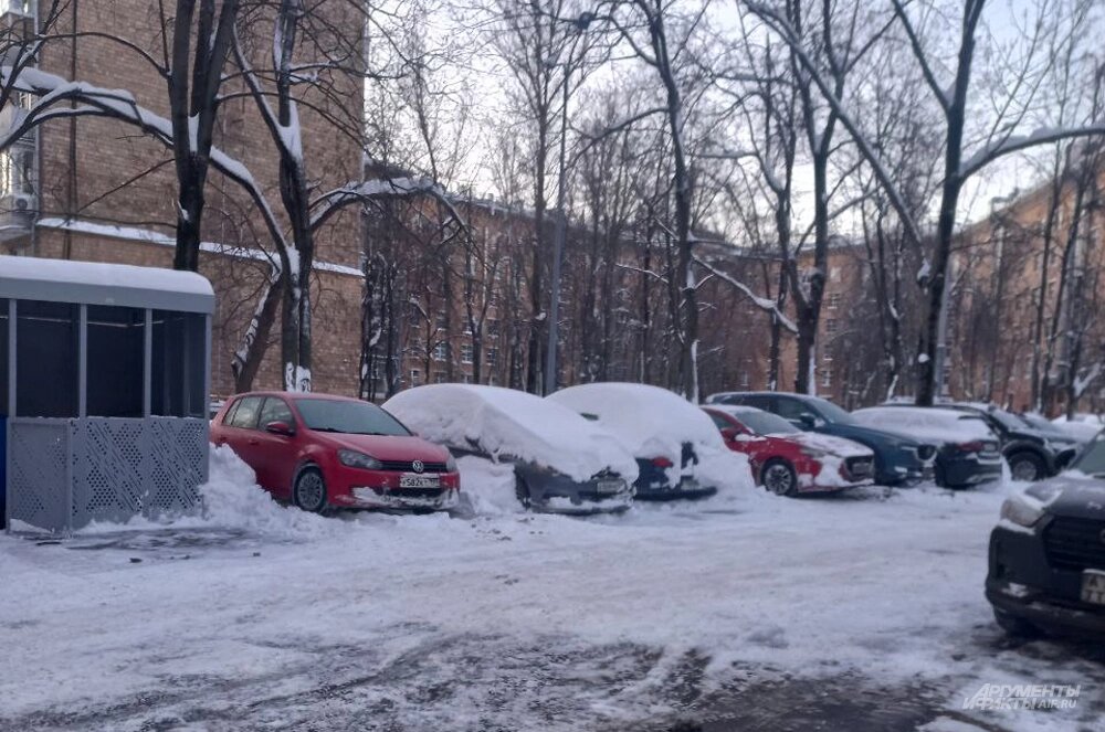    Фото: АиФ/ Екатерина Мазенко