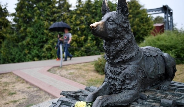 фото: РИА Новости/Владимир Вяткин