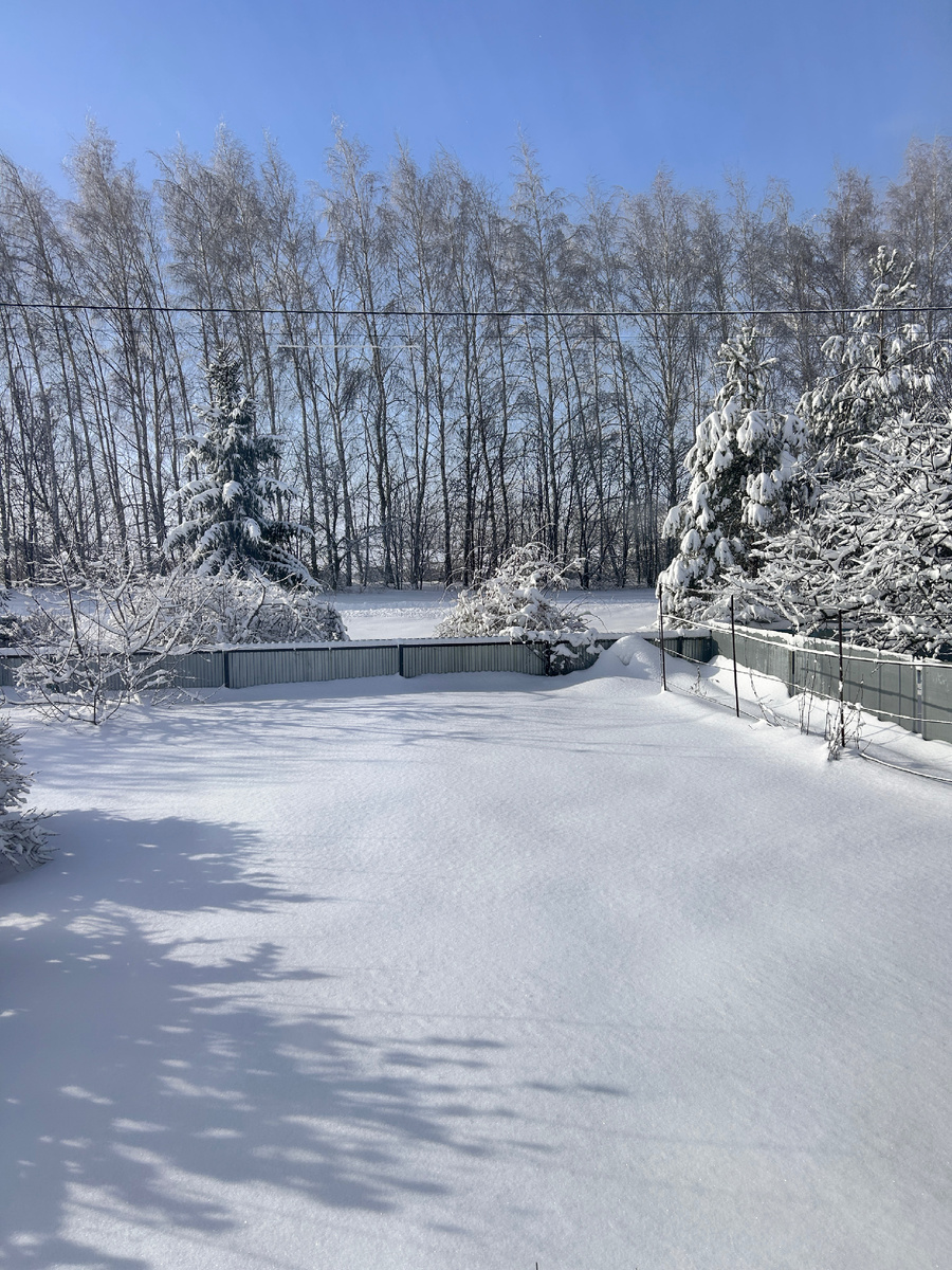 Вид из окна, обратите внимание на забор