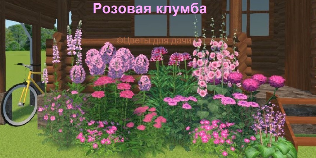 Розовая клумба: что посадить, чтобы цвела все лето. Схема с названиями