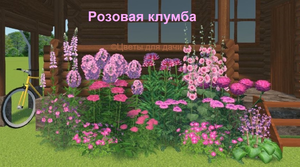 Розовая клумба непрерывного цветения | Создано автором в 3Д программе