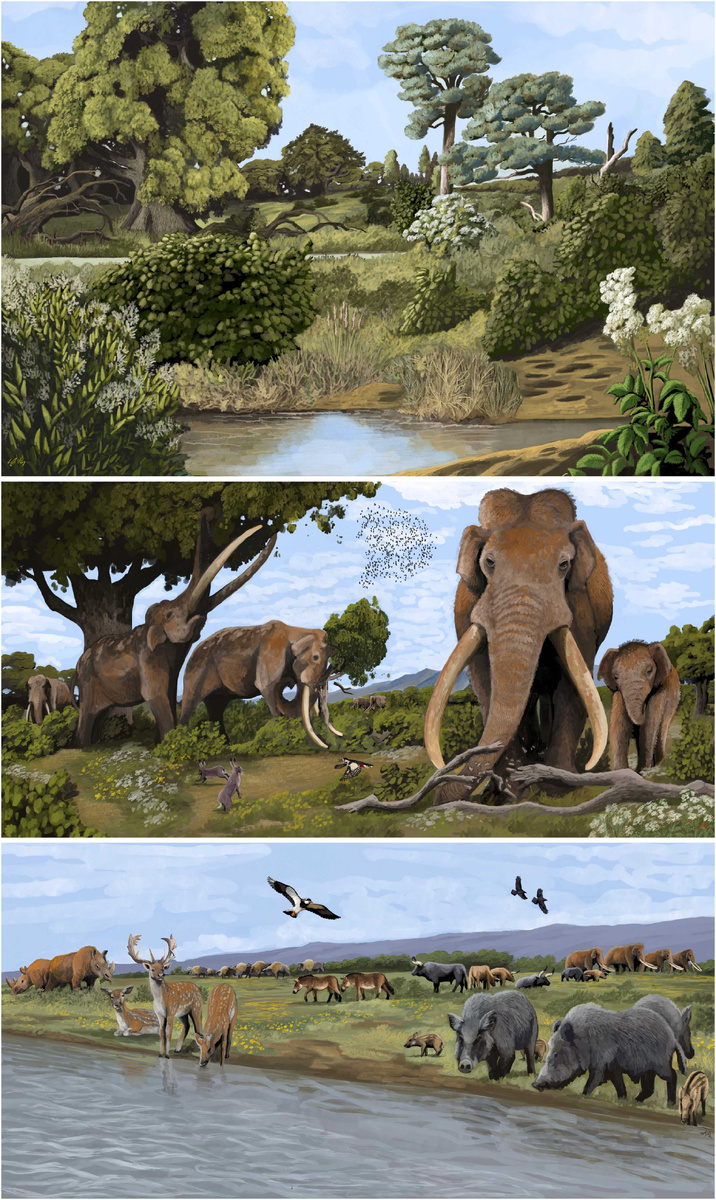 Европейские пейзажи последнего межледникового периода.