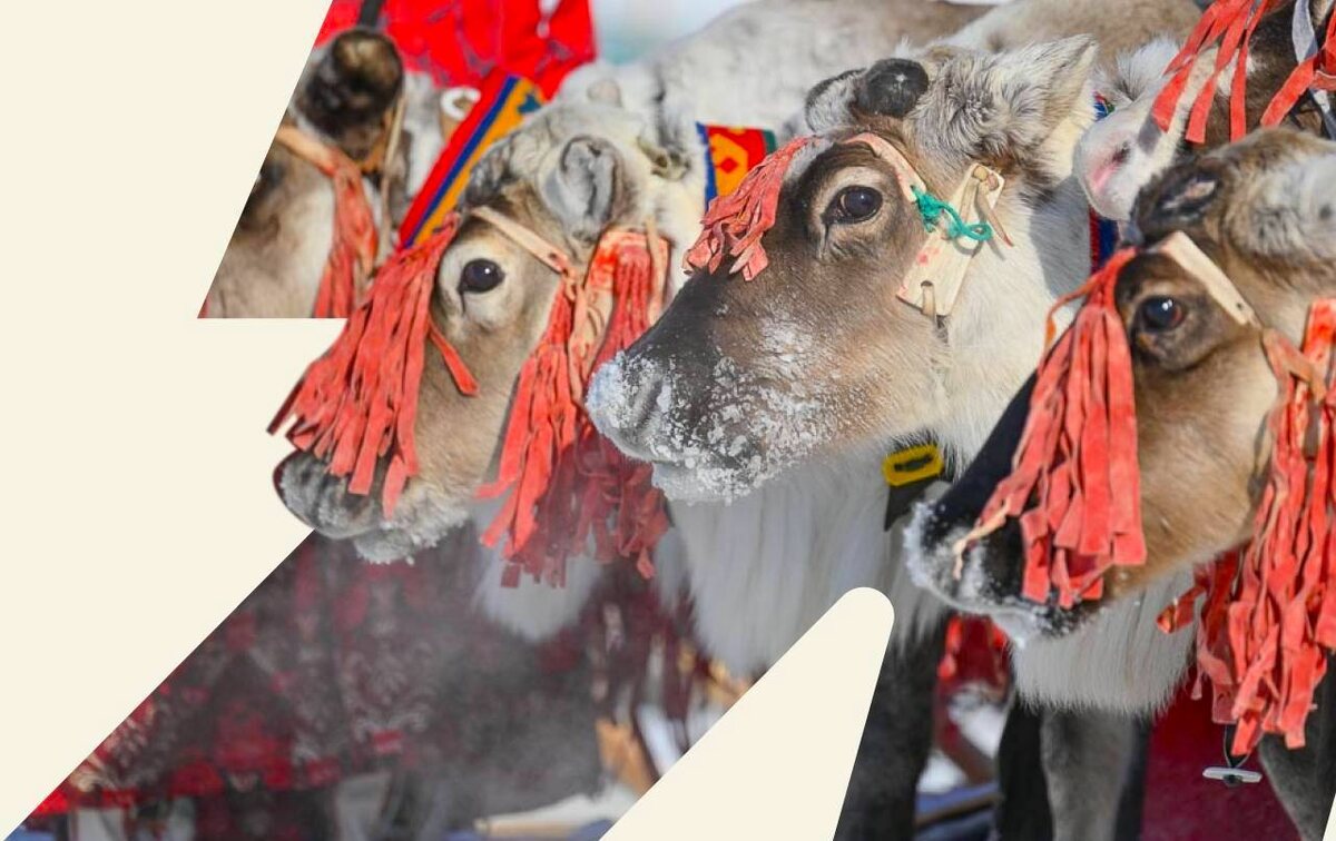 Изображение со страницы сообщества «Туризм на Ямале». Источник: vk.com/visityamal