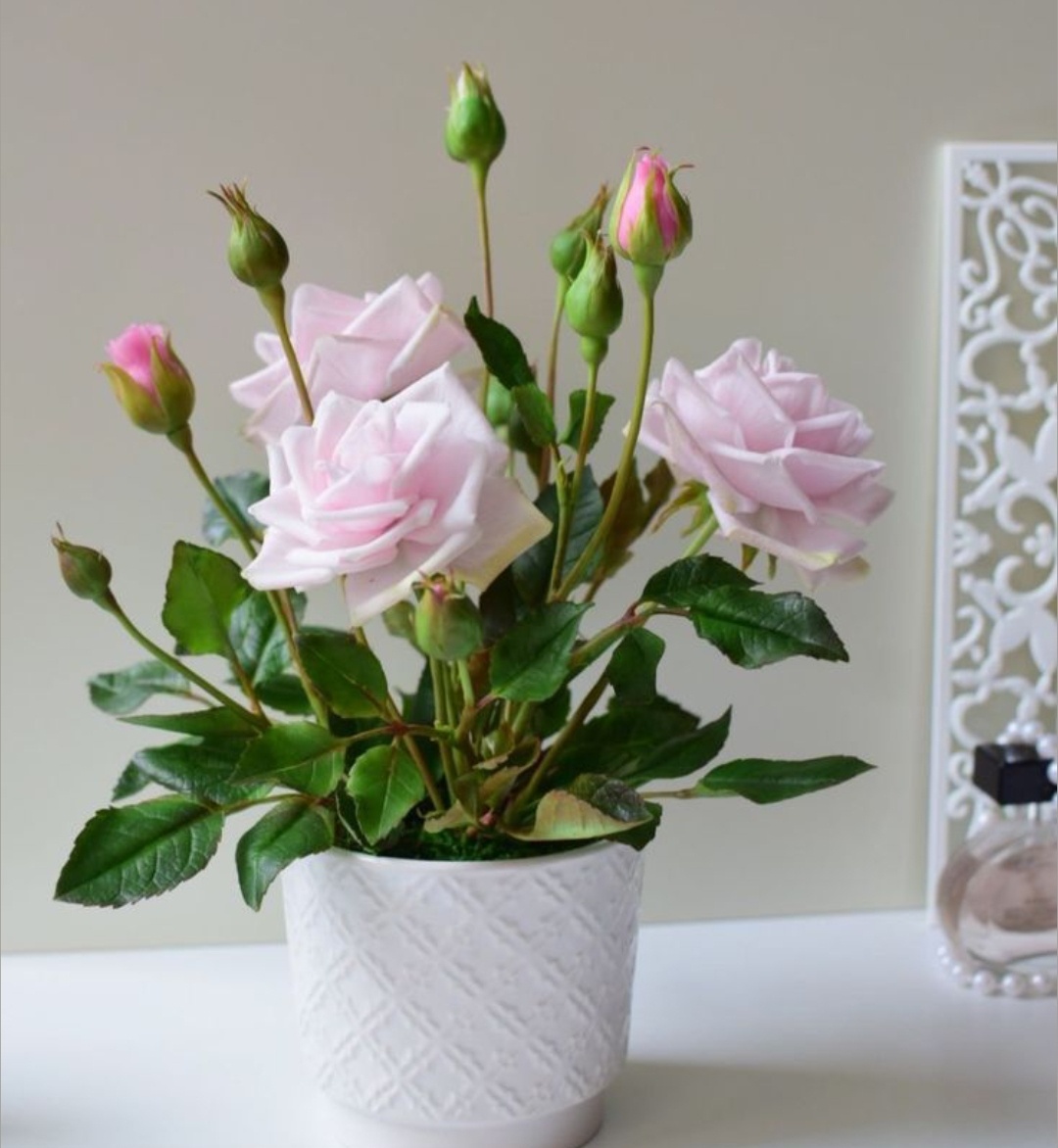 Розы из холодного фарфора