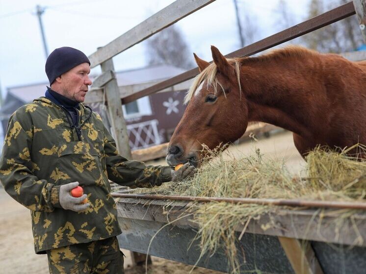     Фото: Юлия Чудинова/«Ямал-Медиа»