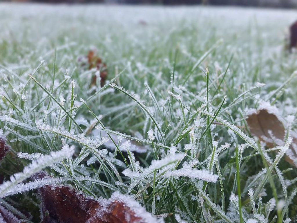    Фото: pravda.ru Василий Шеин