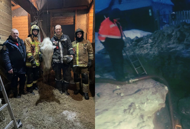 фото: t.me/lenoblpozhspas