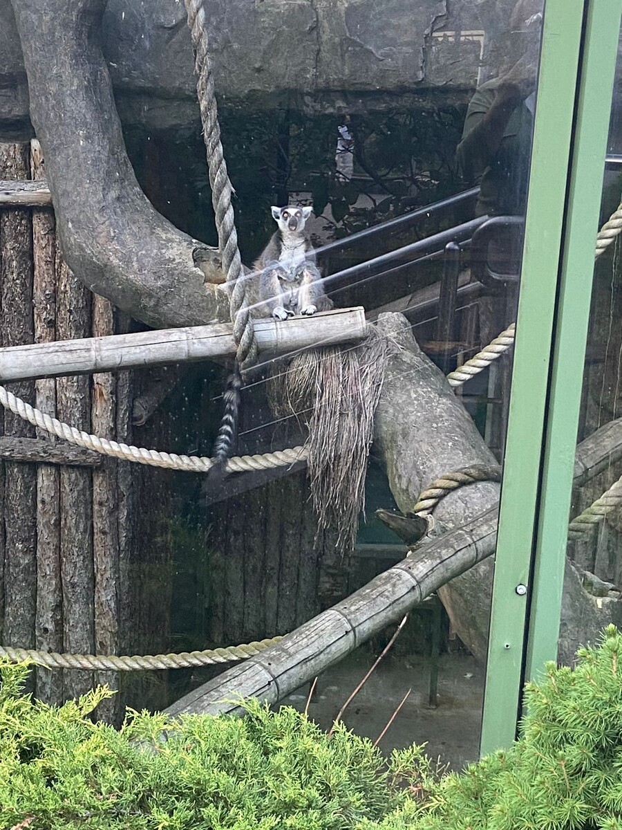 Пригодилась фотка. Один в один я у кабинета пытки