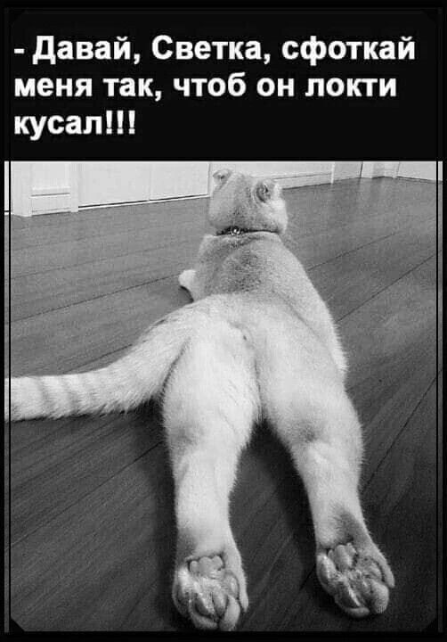 Смех из социальных сетей! Забавные шутки, забавные случаи и веселые рассказы. Фото взято из общедоступных ресурсов соцсетей