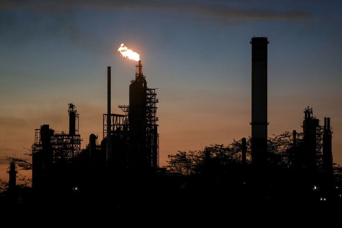     / Источник: © Global Look Press