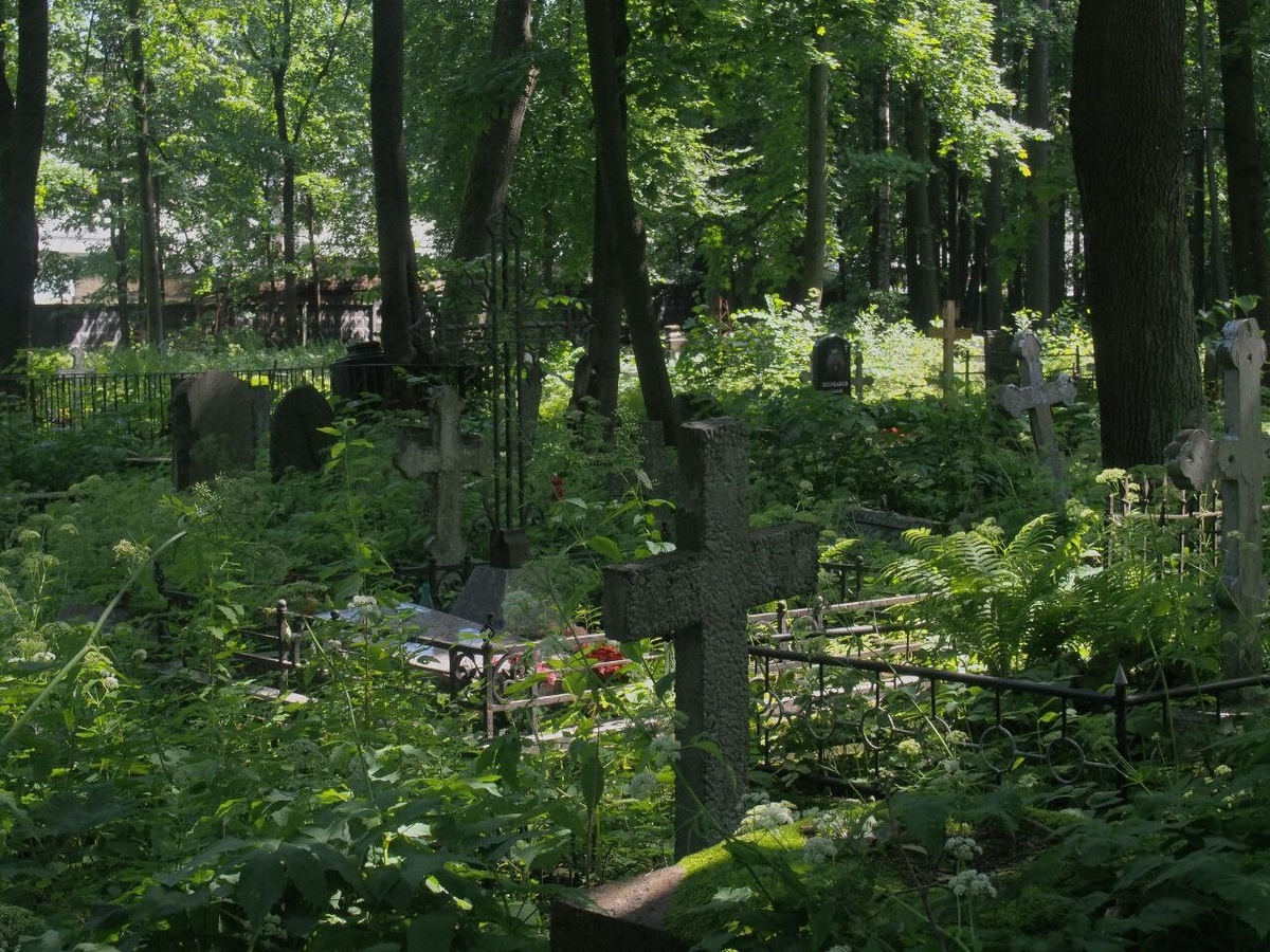     Фото: "Бриф24"