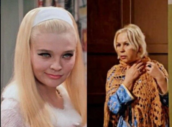 Светличная//Толбузина 