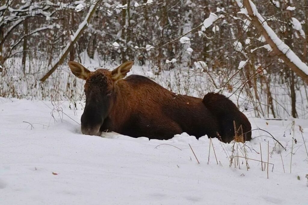    Фото: vk.com/club210039369
