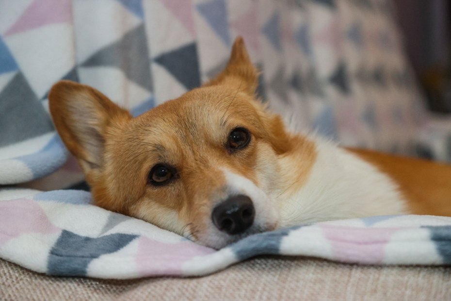    Сергей Булкин/NEWS.ru