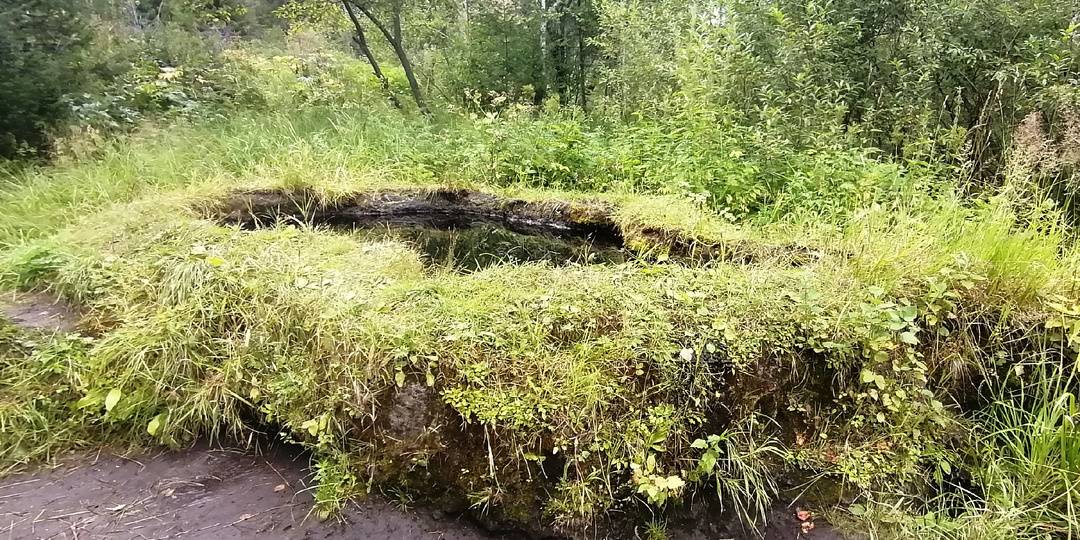 Таловские чаши – природные колодца в Томской тайге