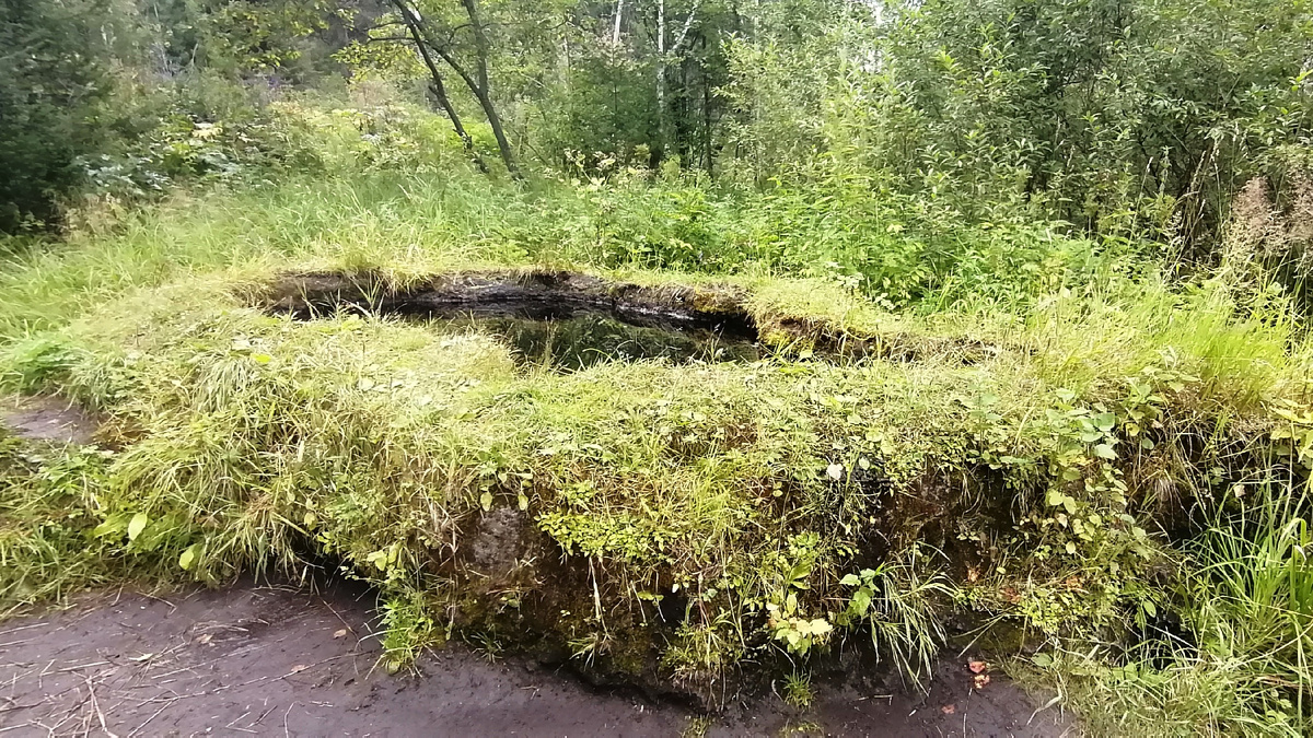 Большая Таловская чаша (Фото: Nixe (Bearna Team))